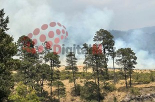 De acuerdo con la Protectora de Bosques (Probosque) se mantienen cinco incendios activos
