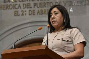 La legisladora María del Rosario Elizalde Vázquez refiere que los tipos penales se establecerán cuando se deriven de actividades referentes al objeto social de la persona jurídico-colectiva.