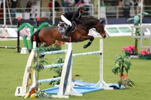 El Dublín Horse Show CSIO*5 Copa de Naciones es uno de los eventos con más prestigio en Europa.
