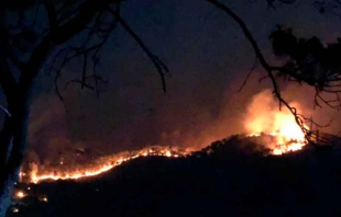 Consume fuego reserva de Monte Alto en Valle de Bravo