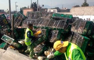 Mueren decenas de pollos en volcadura de tráiler, en Ecatepec