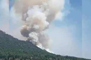 Del 01 de enero al 17 de marzo en la entidad mexiquense se han registrado 370 incendios forestales