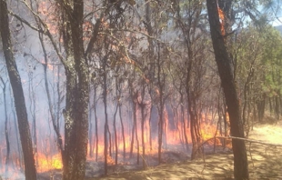 Fuego en Atizapán de Zaragoza y Valle de Bravo; registran tres incendios