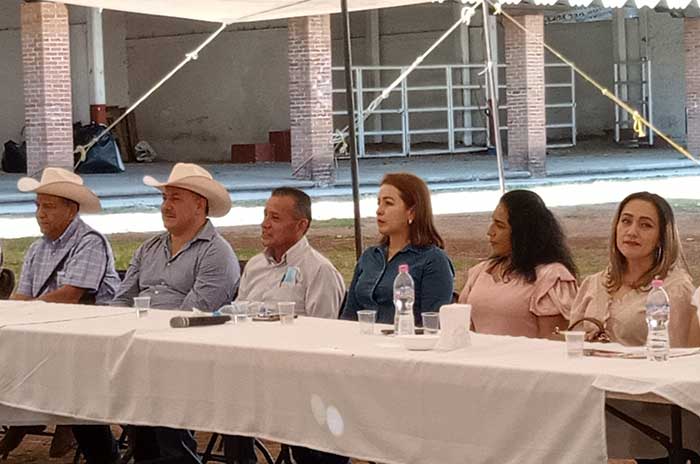 alianza por el sur luvianos