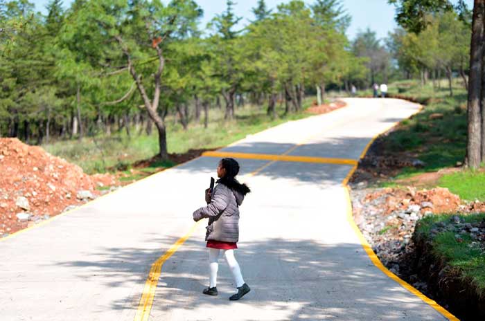 pavimentacion caminos