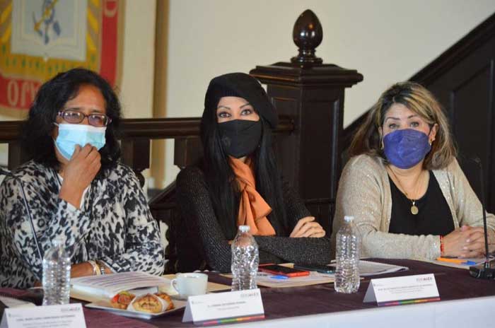sesion ordinarioa busqueda erradicacion violencia mujeres