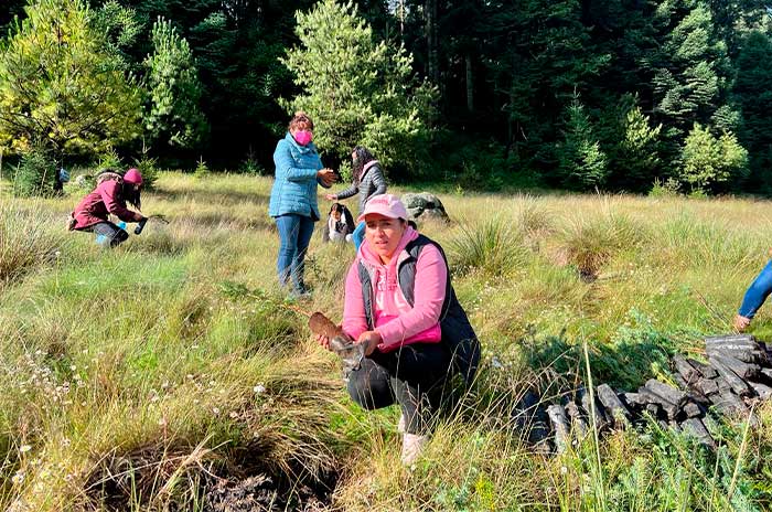 reforestacion lerma santa maria atarasquillo