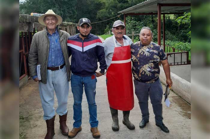 realizan aretado bovino temascaltepec