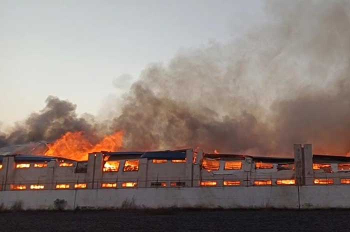 incendio bodega alfa chalco