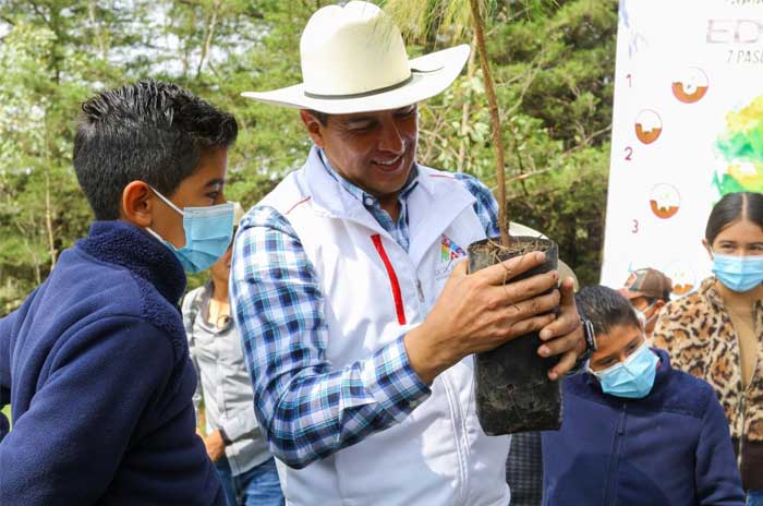 reforestacion ixtlahuaca