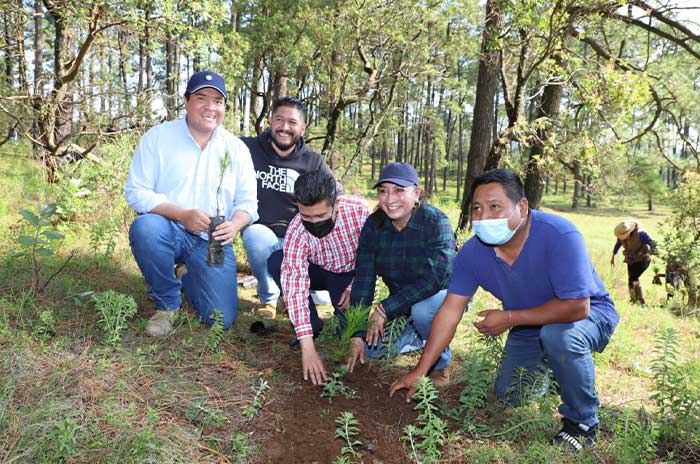 reforestacion villa victoria