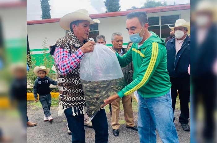 siembra carpa israel jiquipilco