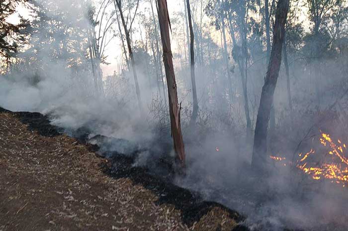 incendio calvario metepec