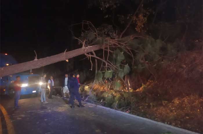 arbol caido carboneras temascaltepec incendio forestal