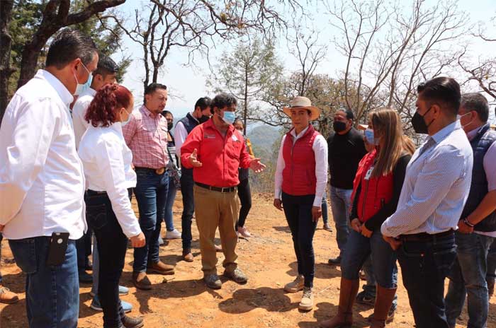 entrega apotyos productores forestales tenancingo leticia mejia garcia probosque