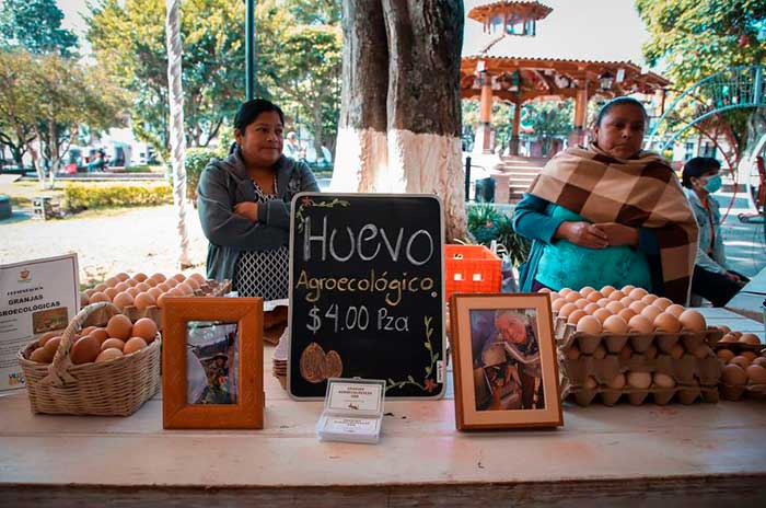 productores valle bravo