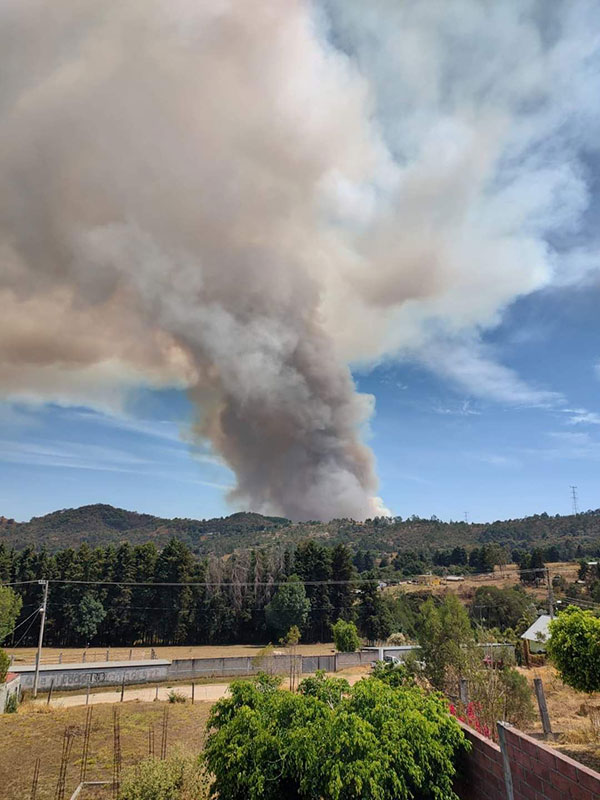 incendio forestal sur edomex