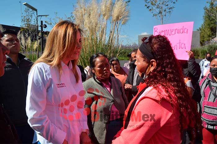 conasoc comercio calles toluca