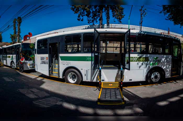 transporte universitario potrobus