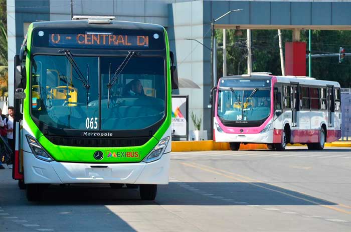 mexibus