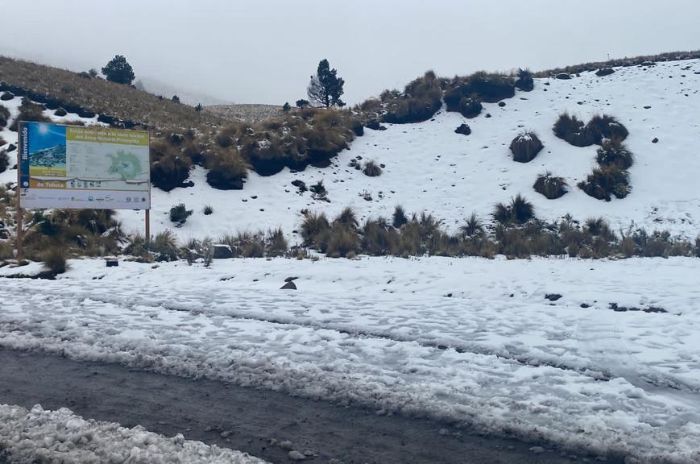 Nieve en el Nevado de Toluca 