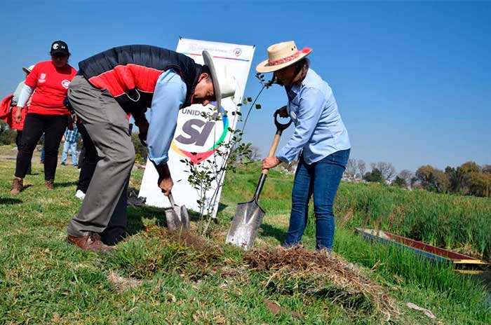 reforestacion humedal san mateo atenco