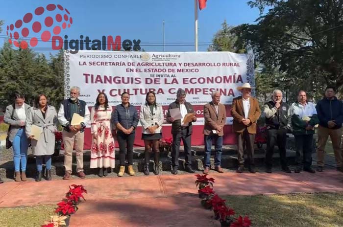 tianguis funcionarios