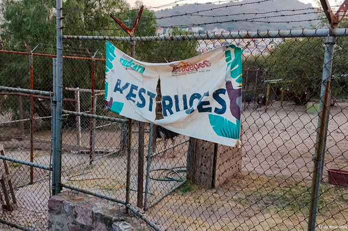 animales desaparecidos zoologico ecatepec