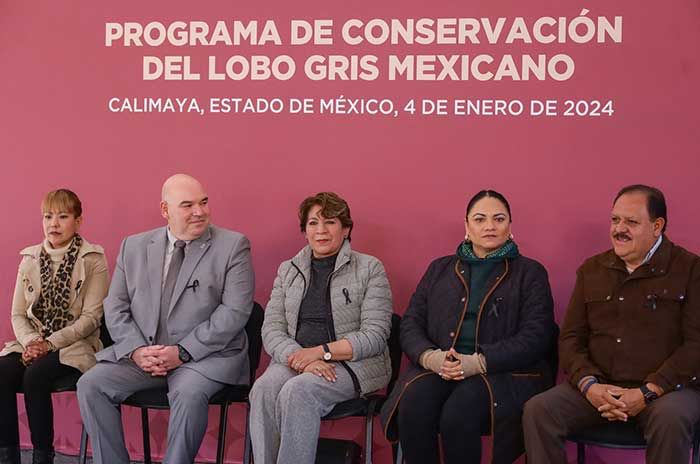 Gobierno edomex lobo gris calimaya