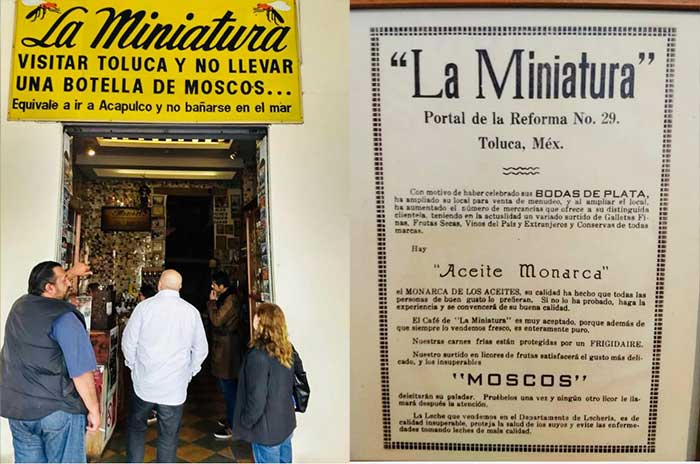 la miniatura toluca moscos