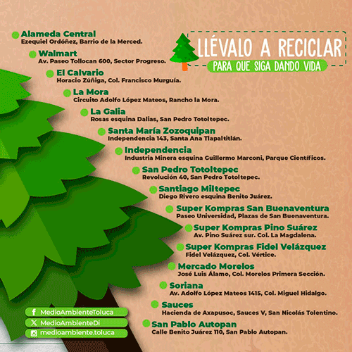 centros recoleccion arboles navidad Toluca