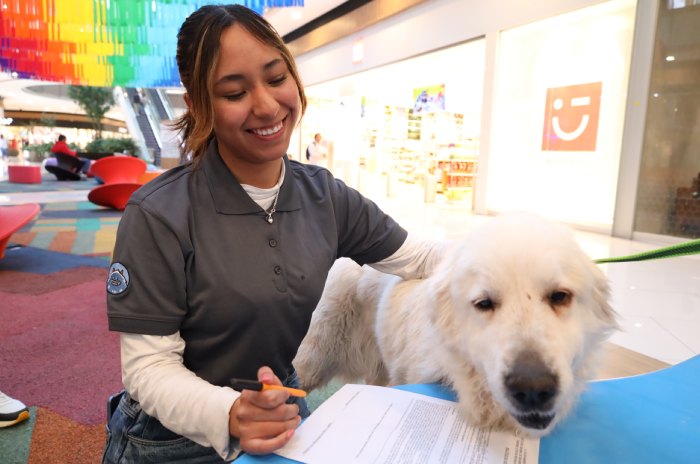 perros rescatados huixquican