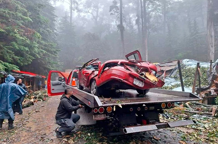 arbol aplasta autos negocios comida tenancingo