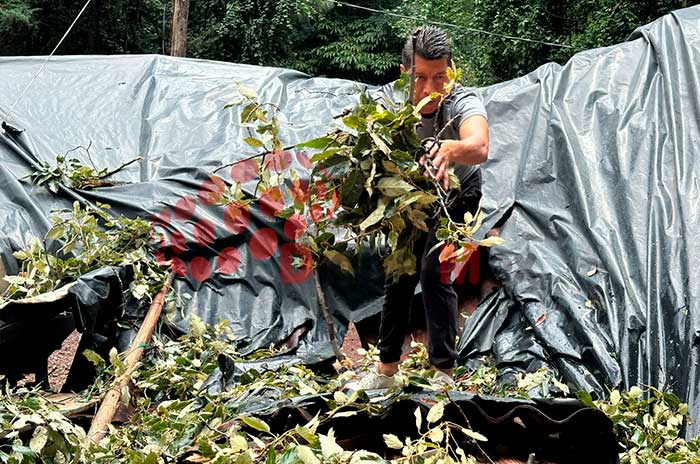 caida arboles el carmen tenancingo lluvias
