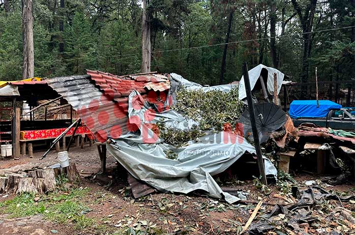 deslave caida arboles el carmen tenancingo lluvias