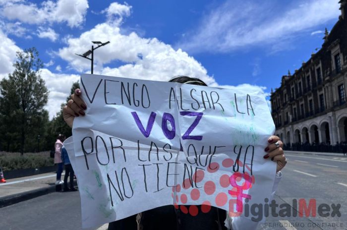 colectivos feministas toluca