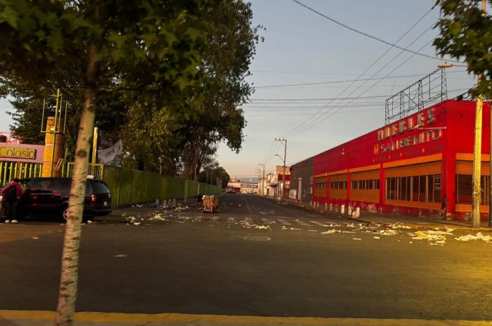 basura toluca