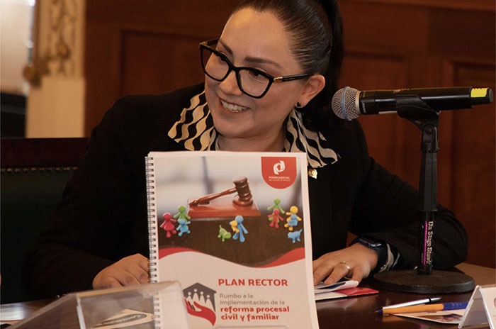 edomex plan rector codigo civil familiar
