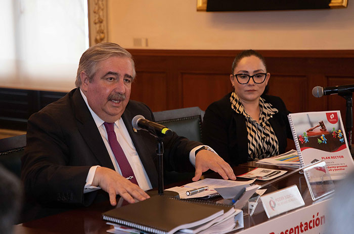 pjedomex plan rector codigo civil familiar