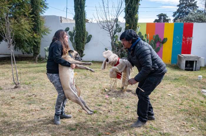 platicas escuelas adopcion perros toluca