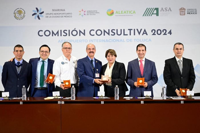 reunion comision consultiva 2024 defina gomez