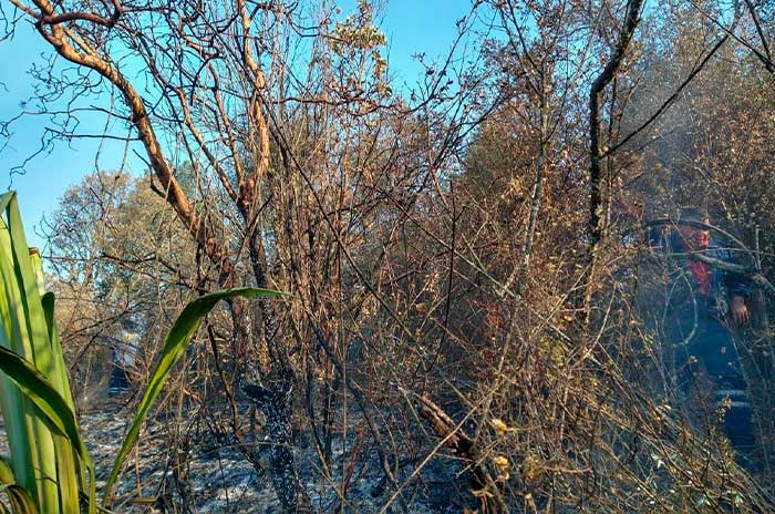 incendio forestal lerma