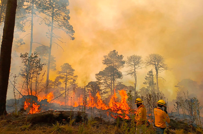 incendio forestal san antonio acahualco zinacantepec