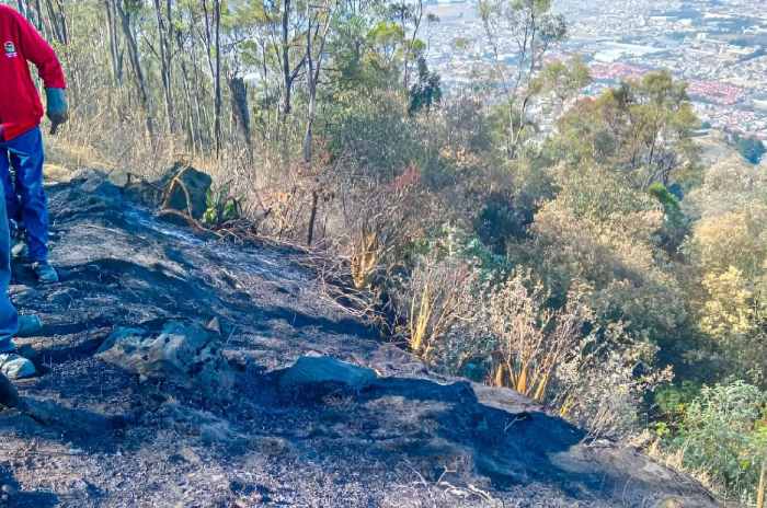 incendio toluca la teresona