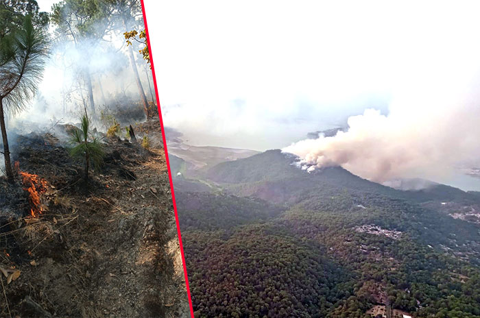 incendio forestal valle de bravo velo novia