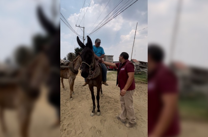 candidato morena zincantepec