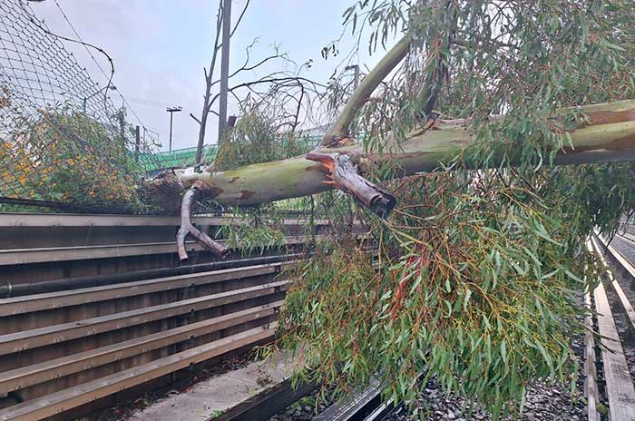 tormenta linea b1