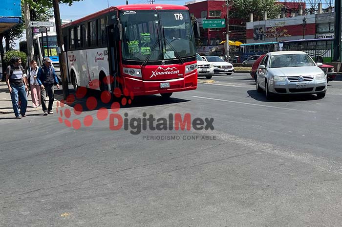 movilidad toluca