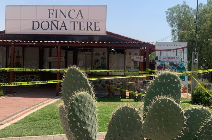Finca