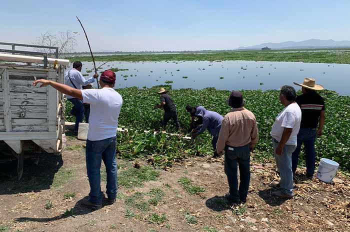 pescadores